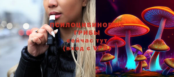 бошки Абдулино